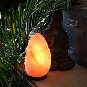 Natural Himalayan Salt Lamp Hand Carved Natural Chunk Pink Crystal Rock 13lbs